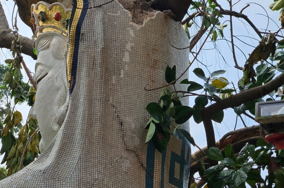 WhatsApp Image 2023-09-15 at 14.07.35