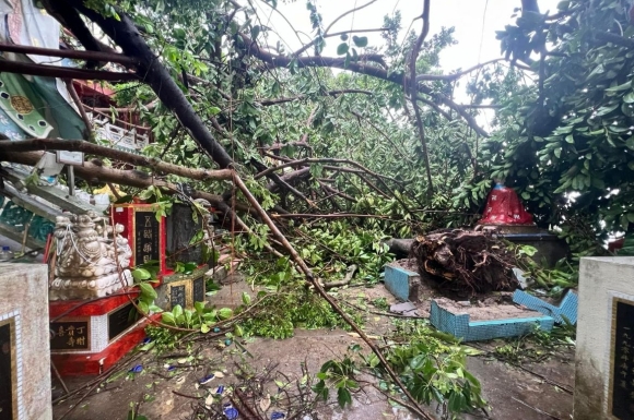 WhatsApp Image 2023-09-02 at 10.39.14